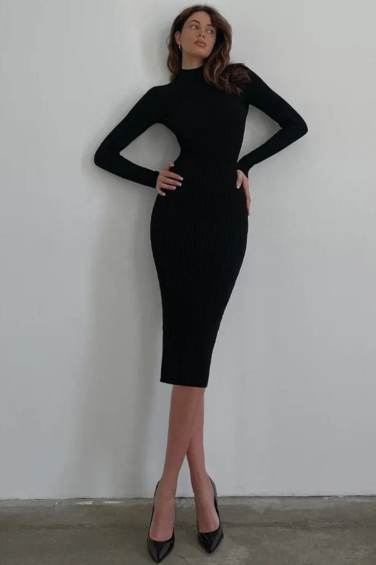 Chic High Neck Long Sleeve Bodycon Rib Knit Sweater Midi Dress - Black