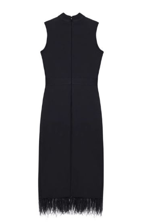 Erin Sleeveless Bodycon Dress -  Classic Black